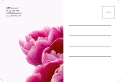 flowers-shop-postcard-6