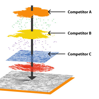 Competitive Analysis